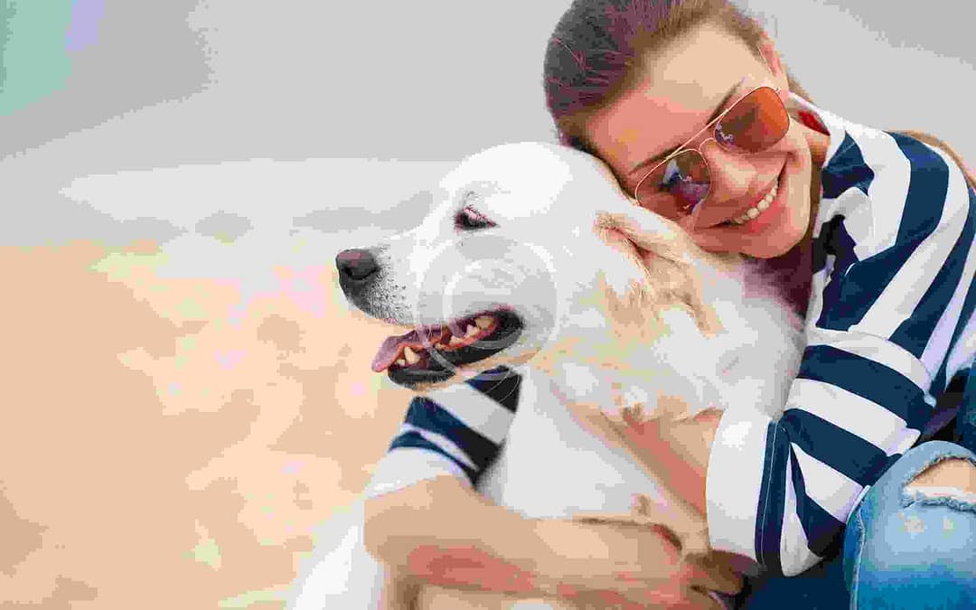 Camping with your Dog