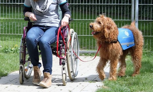 Dein bester Assistent